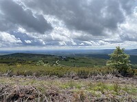 IMG_8829