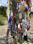IMG_8837