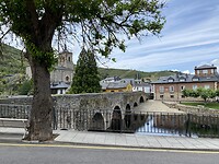 IMG_8845