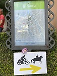 IMG_8899