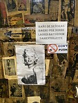 IMG_8905