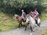 IMG_8919