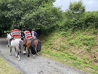 IMG_8920