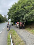 IMG_8921