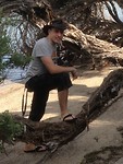 Crocodile Schipper