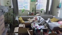 Blog 1 _ Verhuizing!