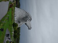 DSC02559