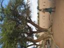Picture 005