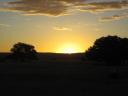 Picture 012