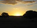 Picture 013