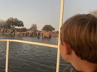 IMG_1935