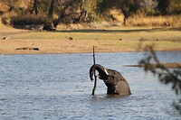 IMG_6160