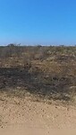 VID-20250717-WA0017