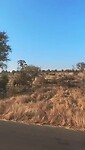 VID-20250717-WA0016