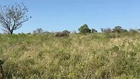 VID-20250721-WA0002