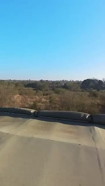 VID-20250722-WA0001