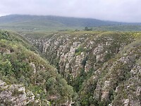IMG-20250724-WA0030