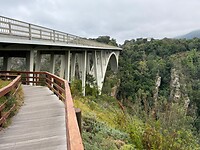 IMG-20250724-WA0028
