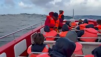 VID-20250725-WA0005
