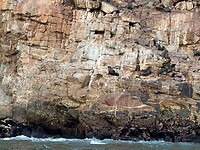 IMG-20250725-WA0006
