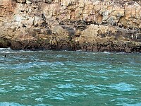 IMG-20250725-WA0007