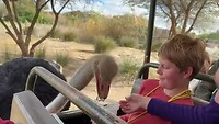 VID-20250726-WA0024