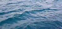 VID-20250729-WA0050