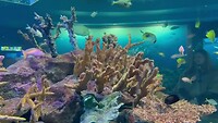 VID-20250730-WA0016