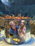 IMG-20250730-WA0034