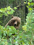 IMG-20260714-WA0037