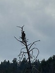 IMG-20260714-WA0014