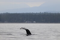 IMG_7980