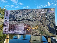 20260724_080850