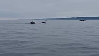 20260724_110510