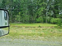 20260725_084407(0)