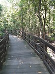 Hardlopen over de boardwalk