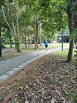 hardlopen in het park