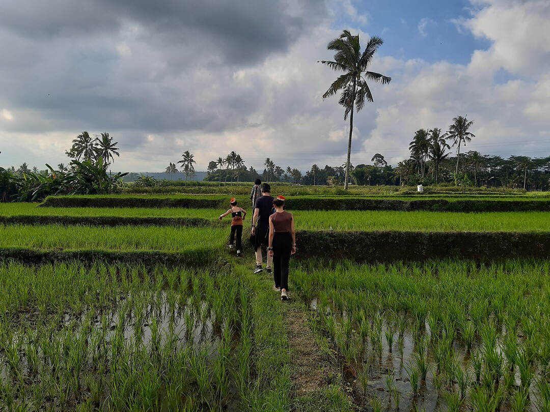 Plantage