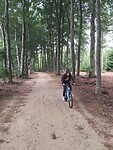 Fietsen door het bos