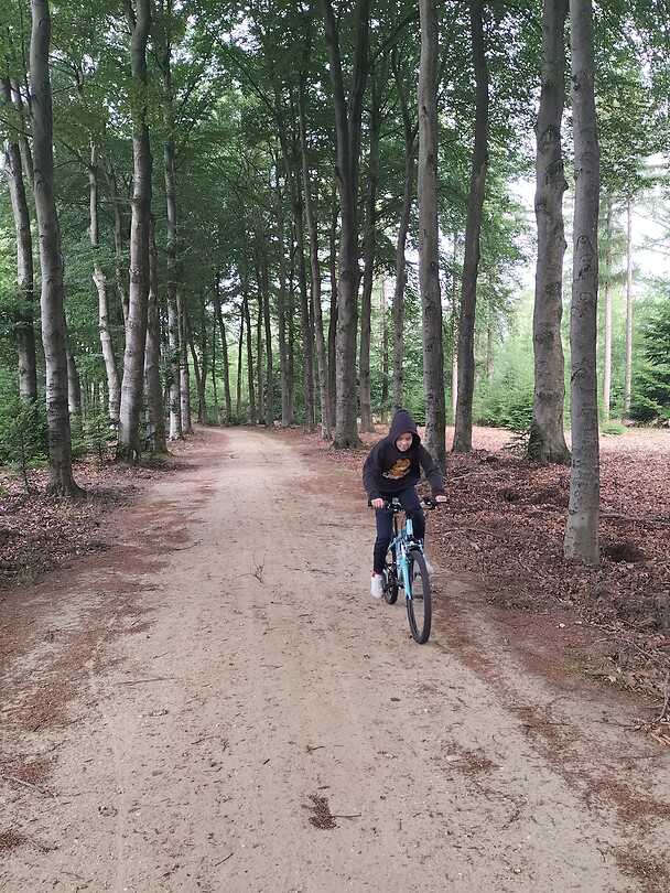 Fietsen door het bos