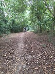 IMG20231112104202