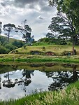 IMG20231221165436