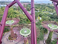 IMG20240214171149