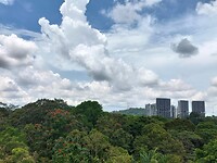 IMG20240414120349