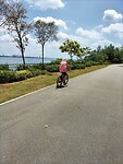 IMG20240324115300