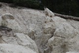 Snow goats2