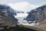 Atabasca glacier1
