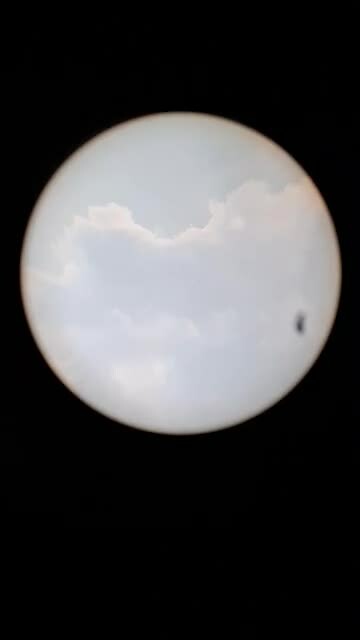 1000033376