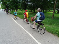 1000033797
