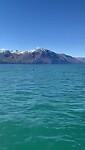Looking for the whales.